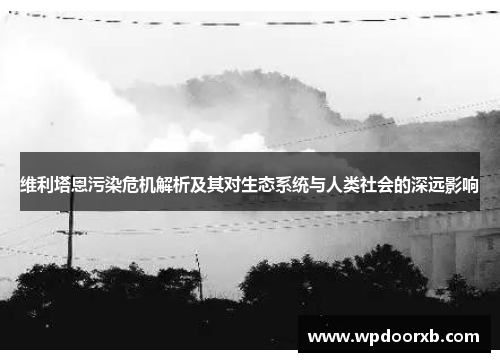 维利塔恩污染危机解析及其对生态系统与人类社会的深远影响