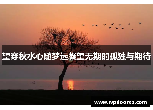 望穿秋水心随梦远凝望无期的孤独与期待