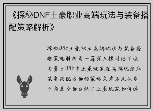 《探秘DNF土豪职业高端玩法与装备搭配策略解析》